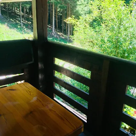 Tisa Apartment